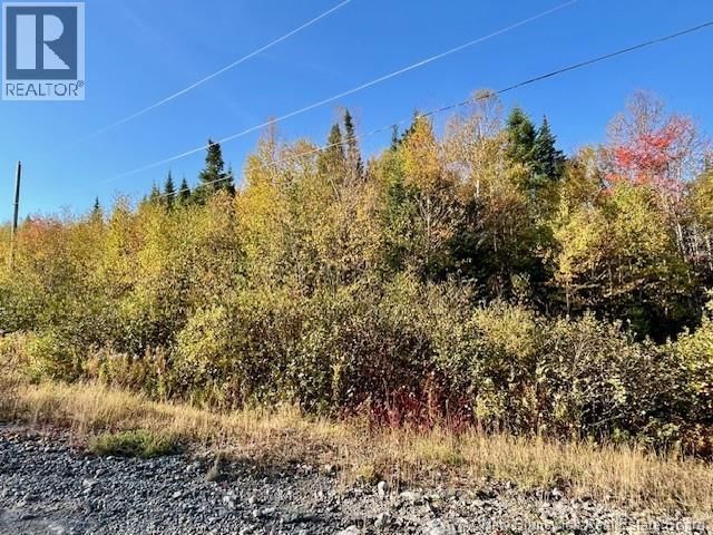 20 SADDLEBROOK COURT Image 4