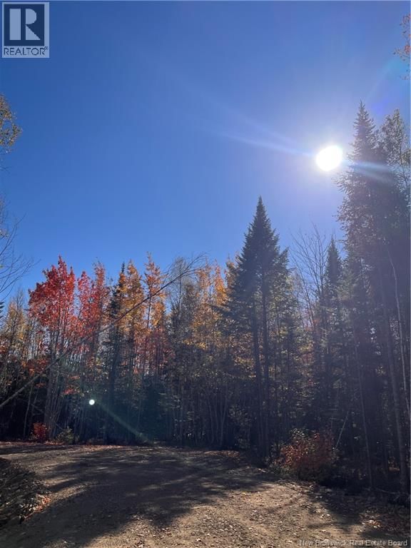 Lot Bells Mills Road, Richibucto-Village, New Brunswick E4W 1B8