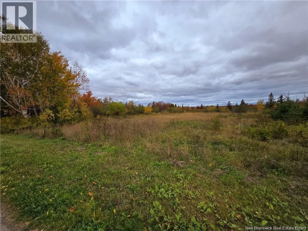 8782 des Acadiens Blvd, Bertrand, New Brunswick E1W 1L9