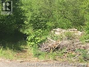234 Flanagan Road, Fredericton, New Brunswick E3C 2E8