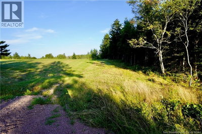 Lot Hesler | Sackville New Brunswick | Slide Image Three