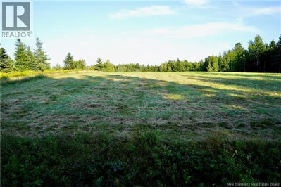 Lot Hesler | Sackville New Brunswick | Slide Image Seven