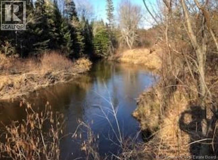 3227 route 495, South Branch, New Brunswick E4W 3L6