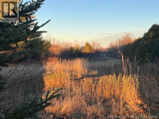 Lot Rue Principale Tracadie New Brunswick, E1X 1E3 - Vacant Land For Sale