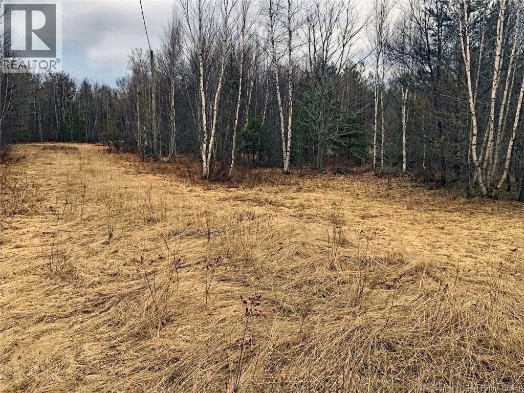 320 Pleasant Drive, Minto, New Brunswick O0O 0O0