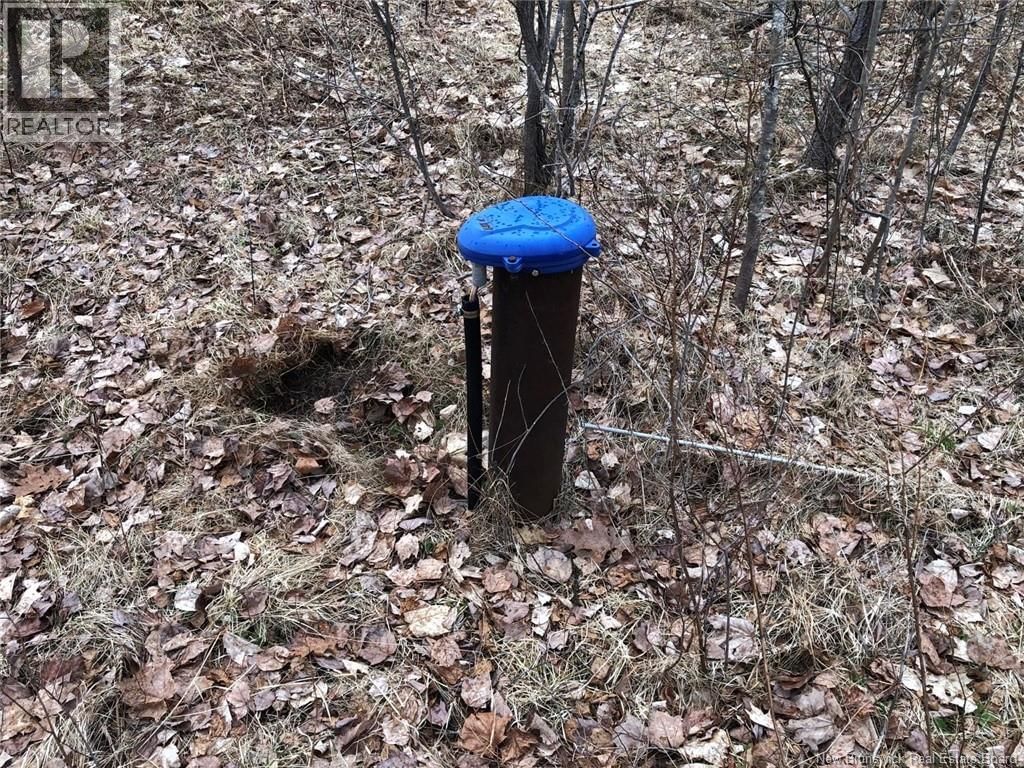 320 PLEASANT DRIVE Image 2