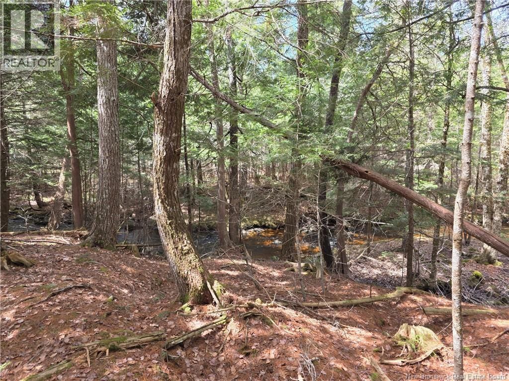  Crest Avenue, Heathland, New Brunswick E3L 5C1