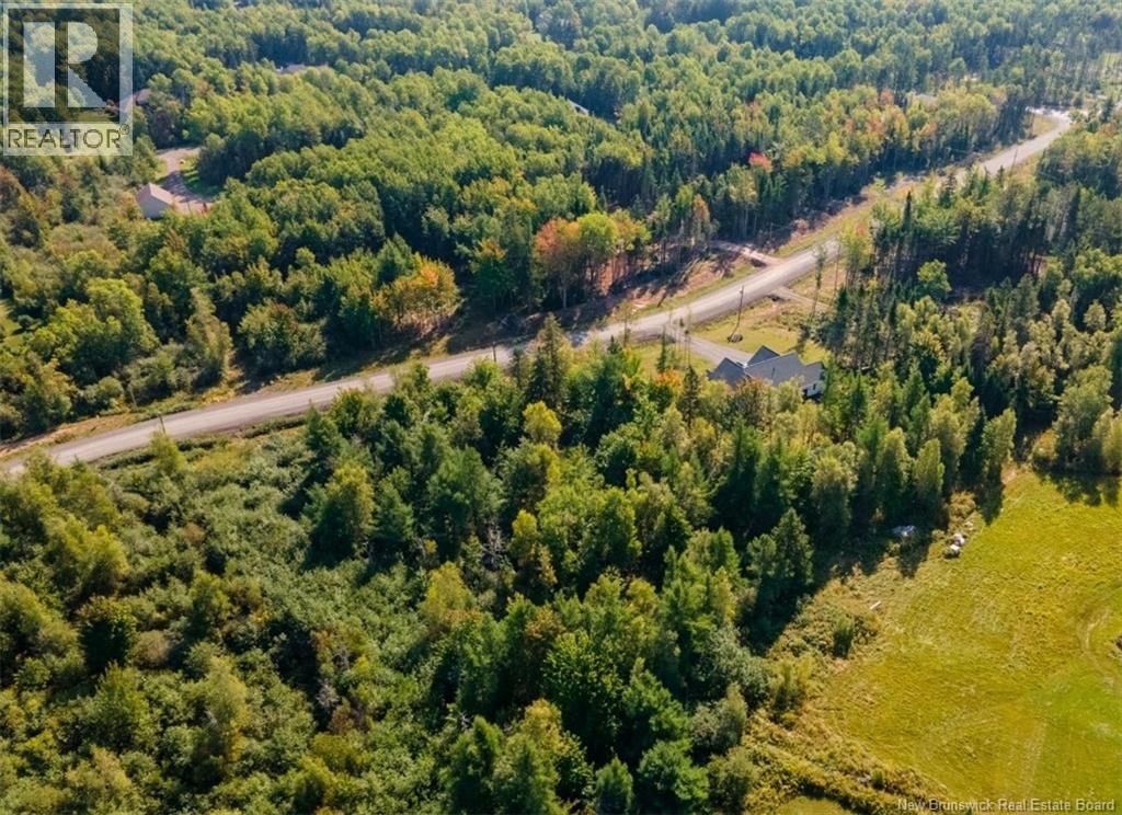 21-15 HIDDEN PINES COURT Image 3