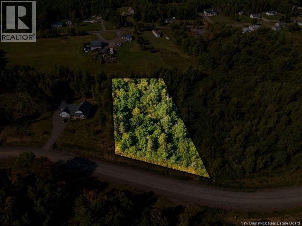 21-15 HIDDEN PINES COURT Image 5