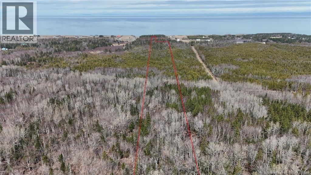 Lot 1 Route 11, Pokeshaw, New Brunswick E2A 5R9
