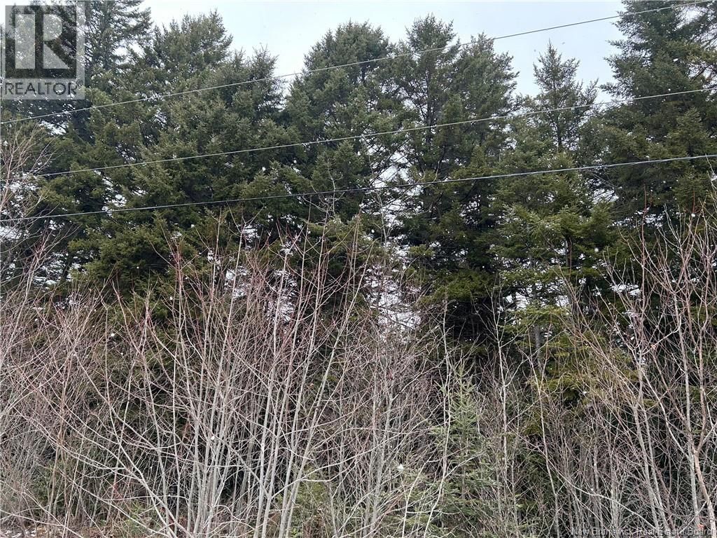 26-2 Backland Road, Kingston, New Brunswick E5N 1E2