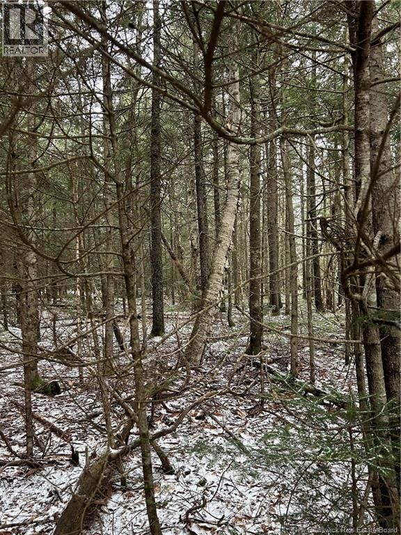 26-3 Backland Road, Kingston, New Brunswick E5N 1E2