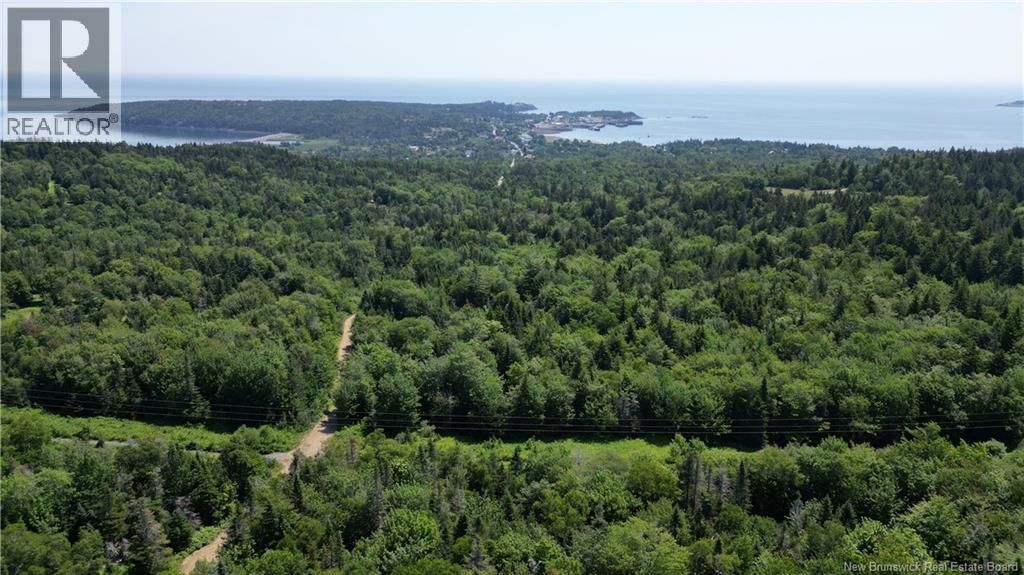  Money Cove Brook, Grand Manan, New Brunswick E5G 1L8