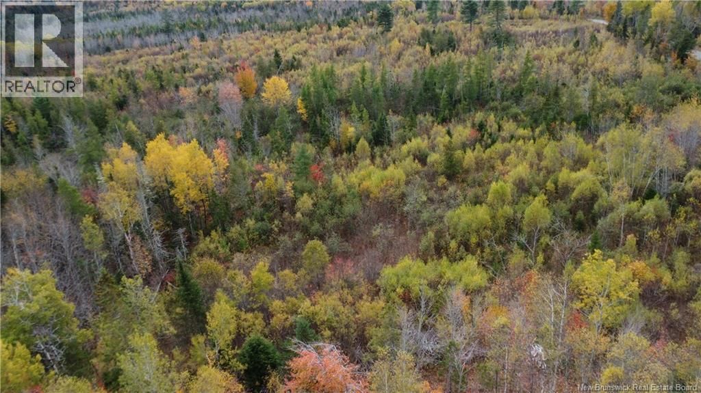 339 MCMINN ROAD Image 7