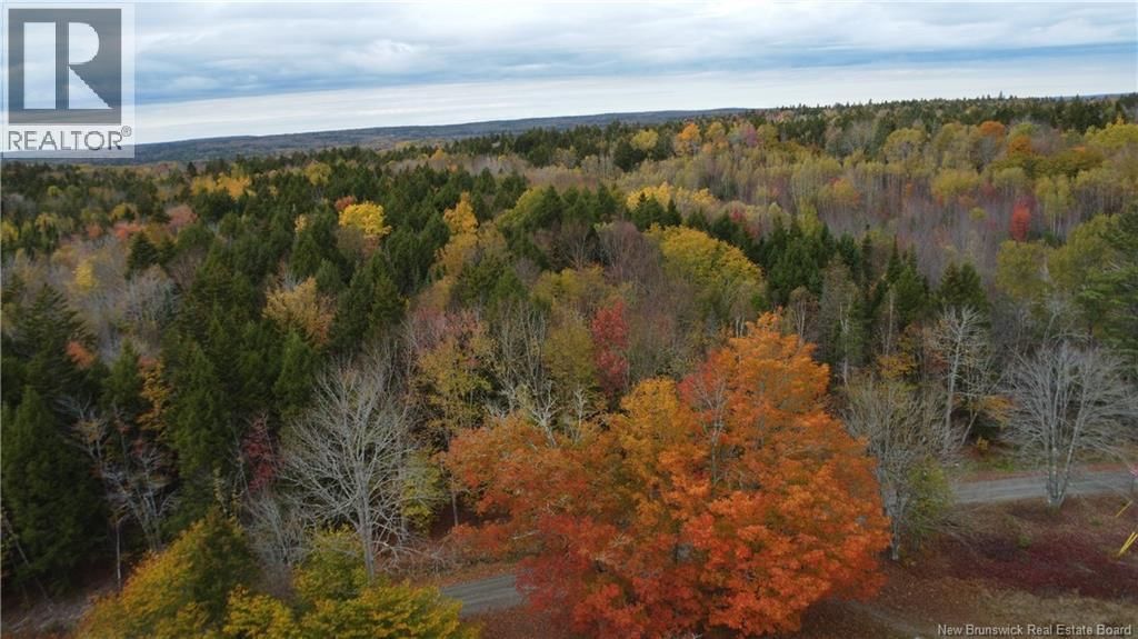 339 MCMINN ROAD Image 8