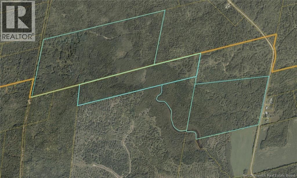 Lot 0 East Irish Settlement Road, Irish Settlement, New Brunswick E7M 4Z2