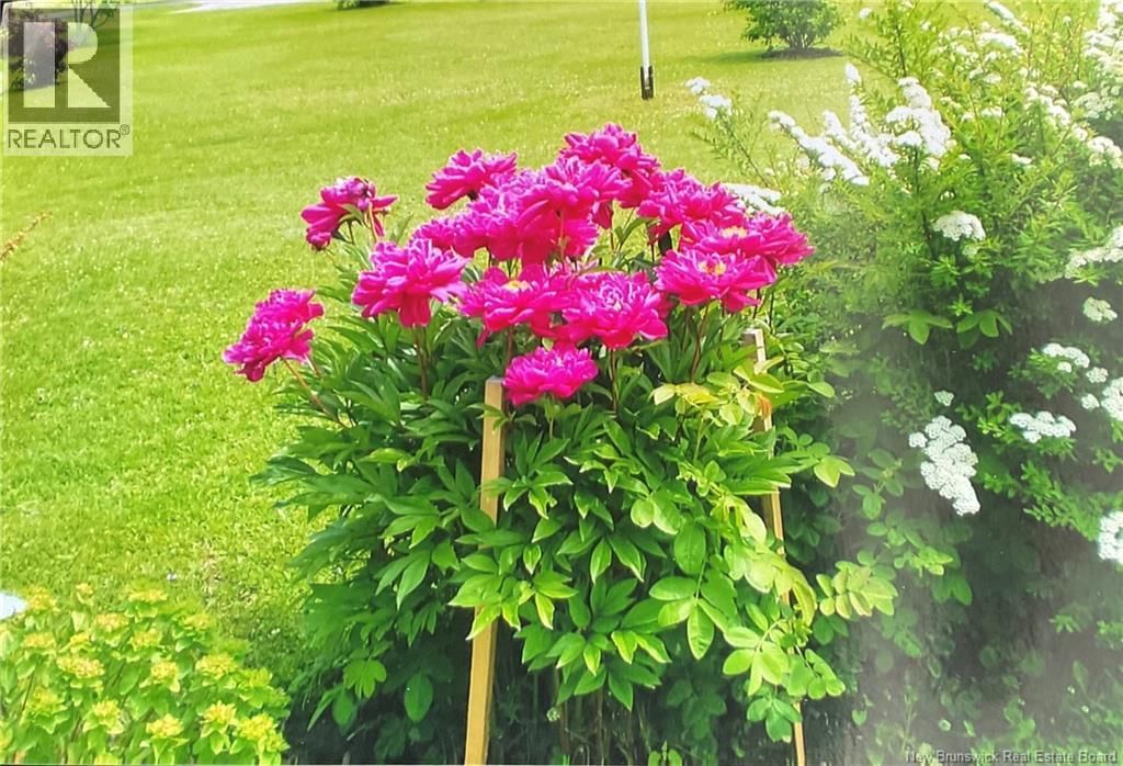 13562 ROUTE 10 Image 44