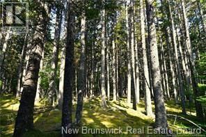  Welshpool Back Road | Campobello New Brunswick | Slide Image Seven