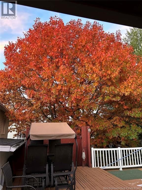 19 BELISLE AVENUE Image 15