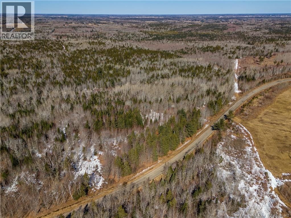 02-5 RENAUDS MILLS ROAD Image 17