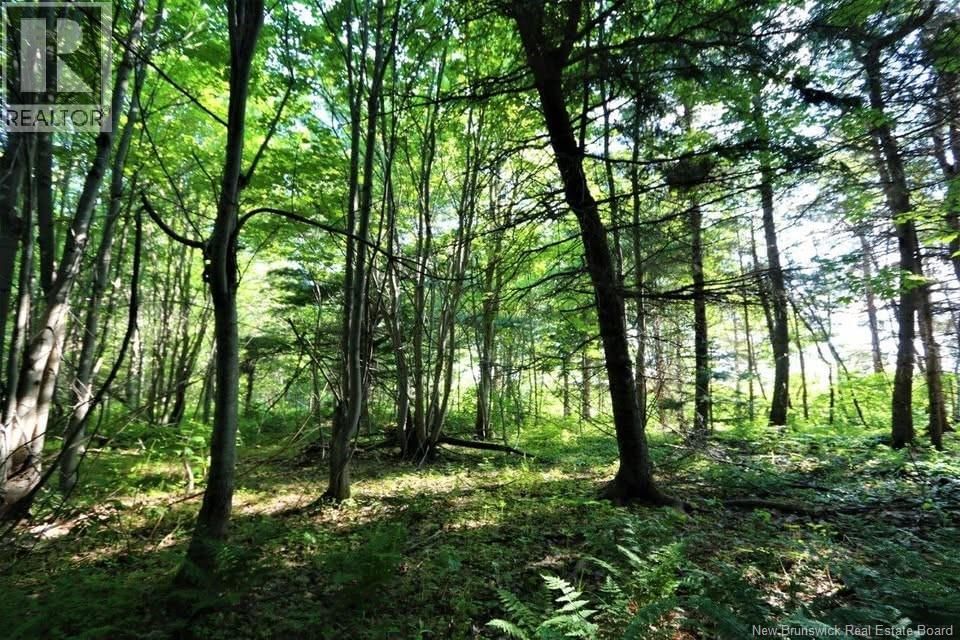 02-5 RENAUDS MILLS ROAD Image 32