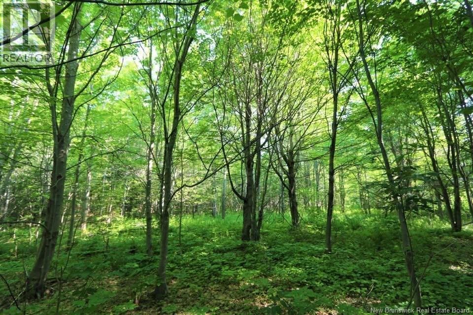 02-5 RENAUDS MILLS ROAD Image 33