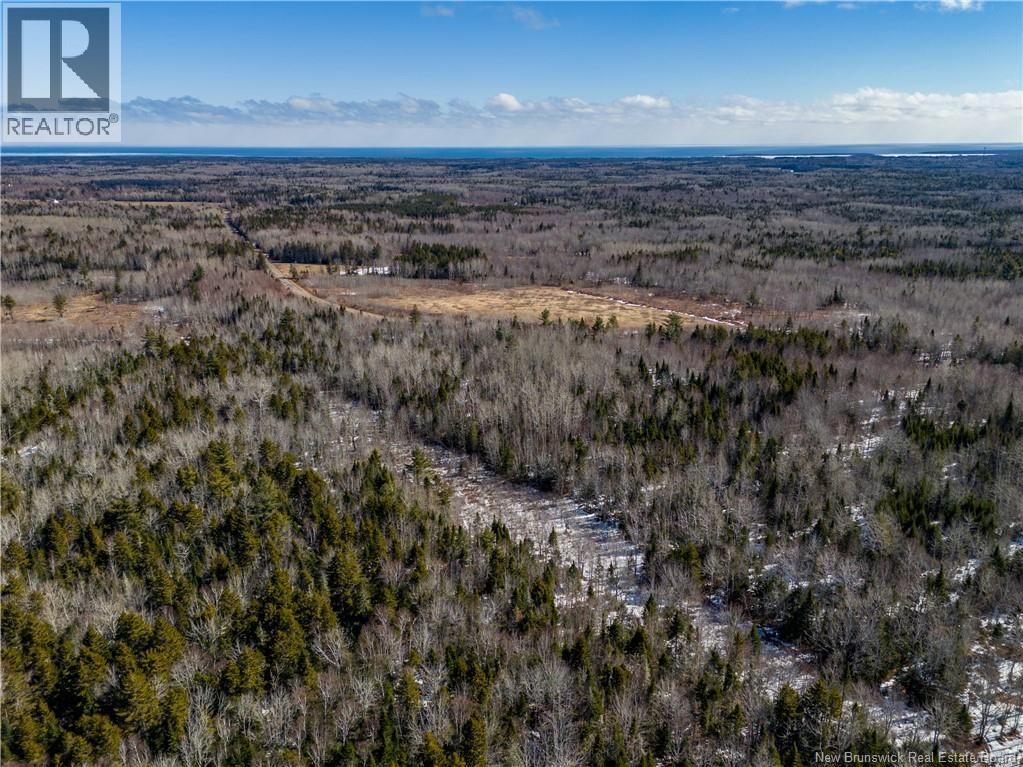 02-5 RENAUDS MILLS ROAD Image 7