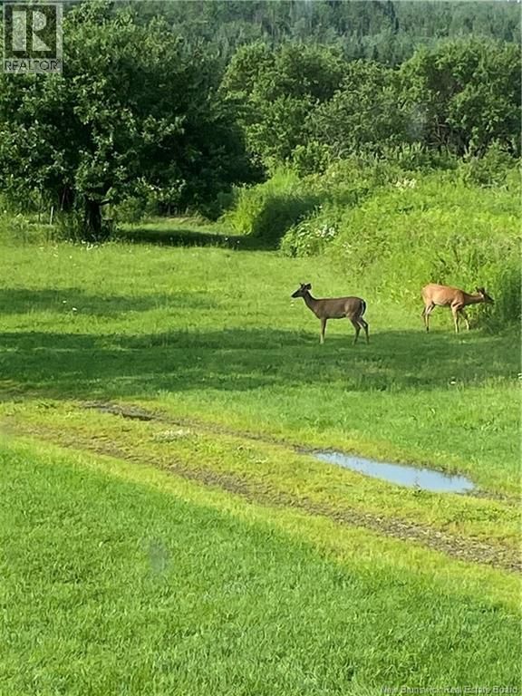 1359 ROUTE 110 Image 14