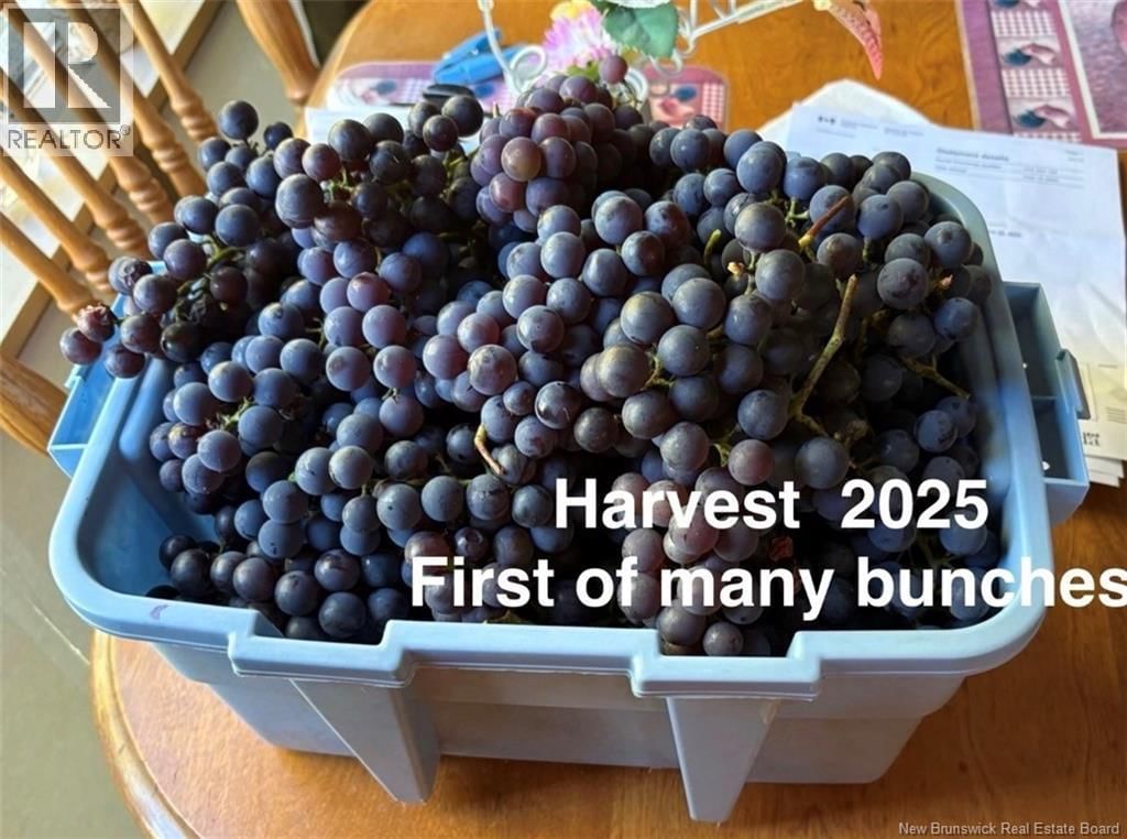 1359 ROUTE 110 Image 46