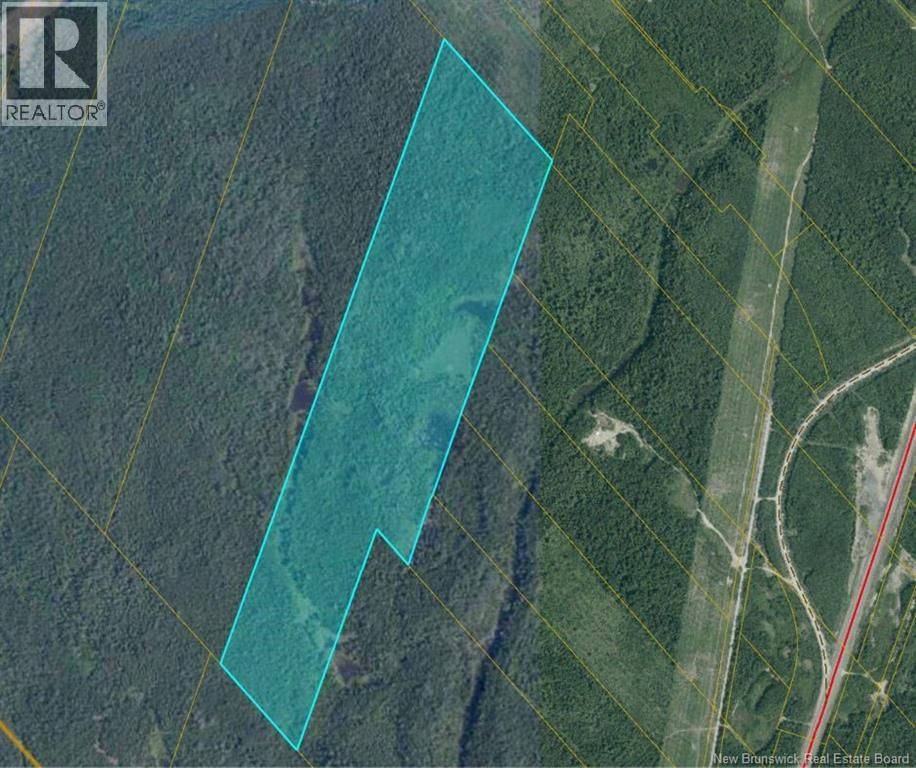 00 Timberland Off King George HWY, Newcastle, New Brunswick E1V 3X6