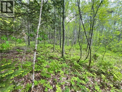 Lot 23-1 and Lo Alden Warmen Road | Bass River New Brunswick | Slide Image Twelve