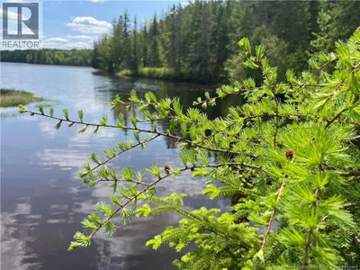 Lot 23-1 and Lo Alden Warmen Road | Bass River New Brunswick | Slide Image Fourteen
