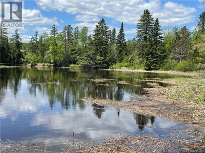 Lot 23-1 and Lo Alden Warmen Road | Bass River New Brunswick | Slide Image Sixteen