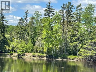 Lot 23-1 and Lo Alden Warmen Road | Bass River New Brunswick | Slide Image Seventeen