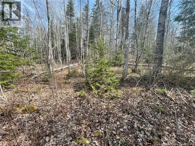 Lot 23-1 and Lo Alden Warmen Road | Bass River New Brunswick | Slide Image Six