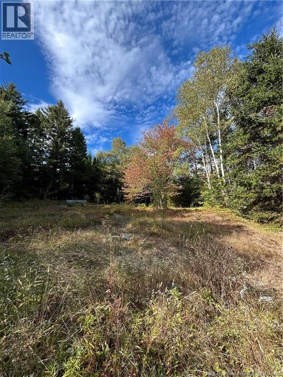 933 ROUTE 111 Image 41