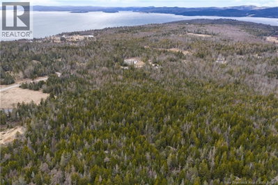 LOT Mascarene Road | Mascarene New Brunswick | Slide Image Sixteen
