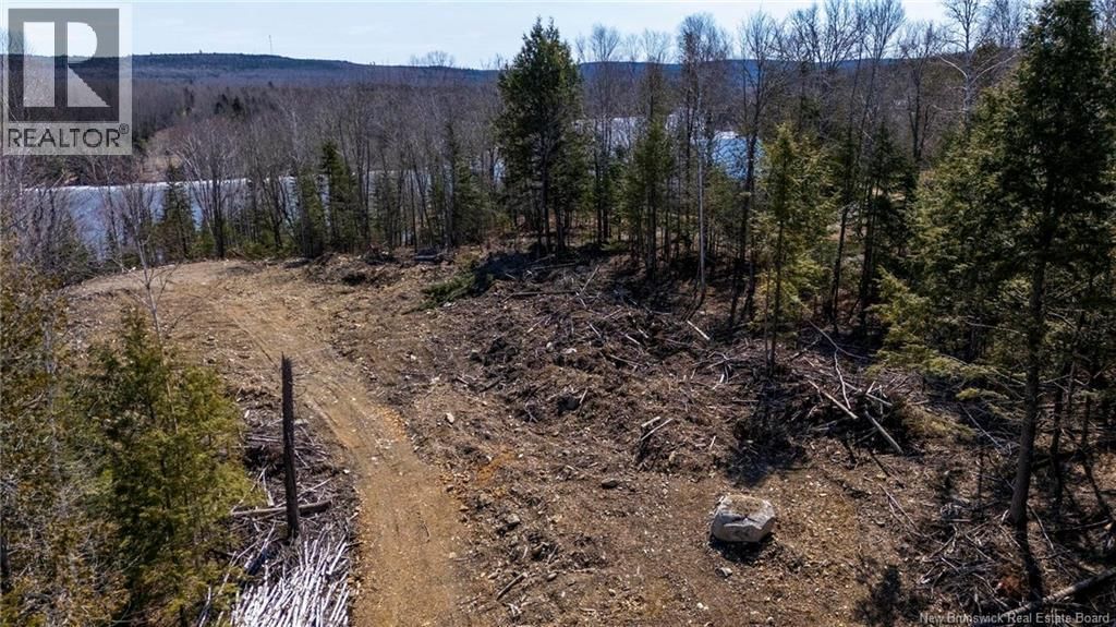 92-6 CARL AVENUE Image 13