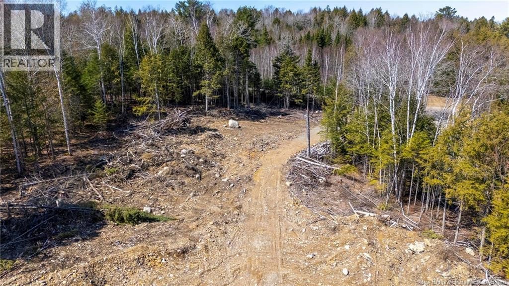 92-6 CARL AVENUE Image 14