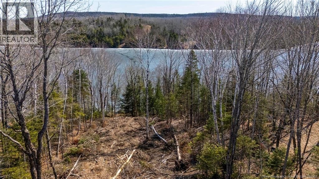 92-6 CARL AVENUE Image 15