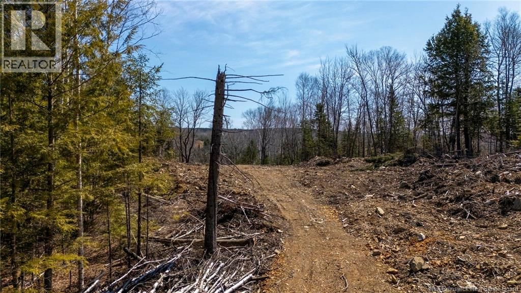 92-6 CARL AVENUE Image 16