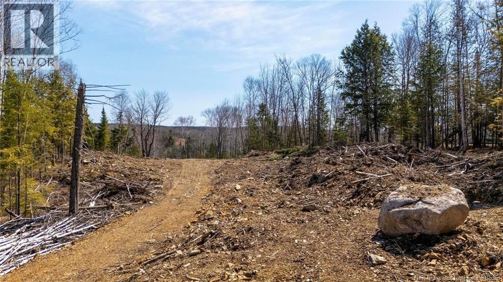 92-6 CARL AVENUE Image 17