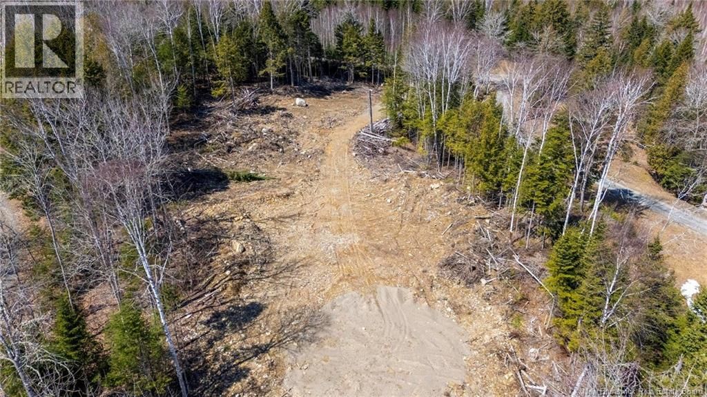 92-6 CARL AVENUE Image 19