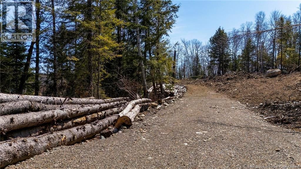 92-6 CARL AVENUE Image 20