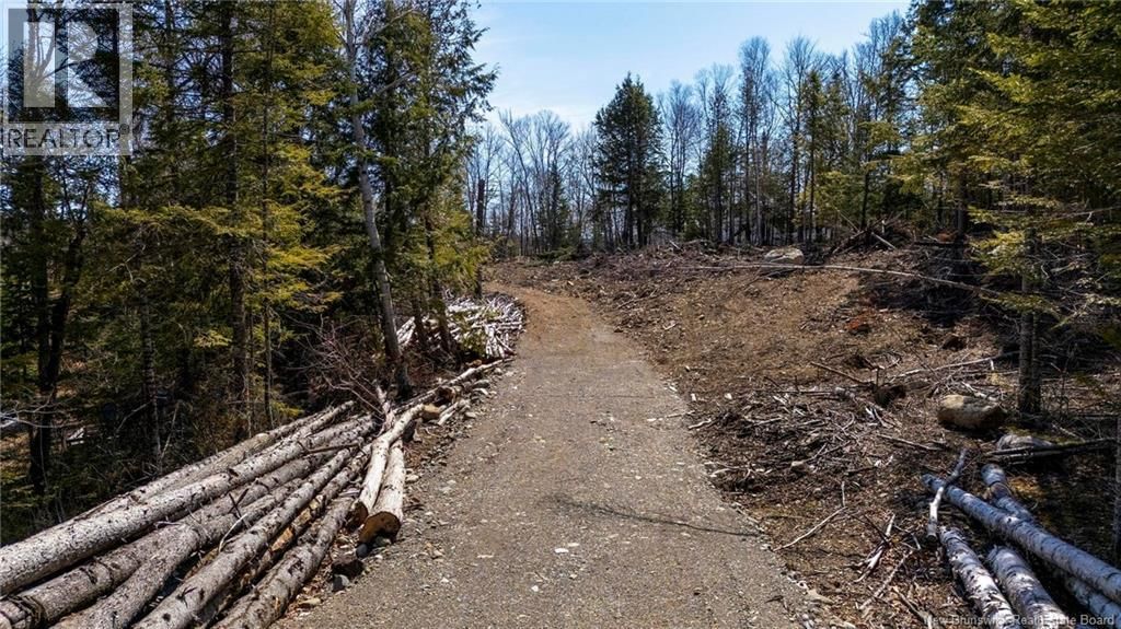 92-6 CARL AVENUE Image 21