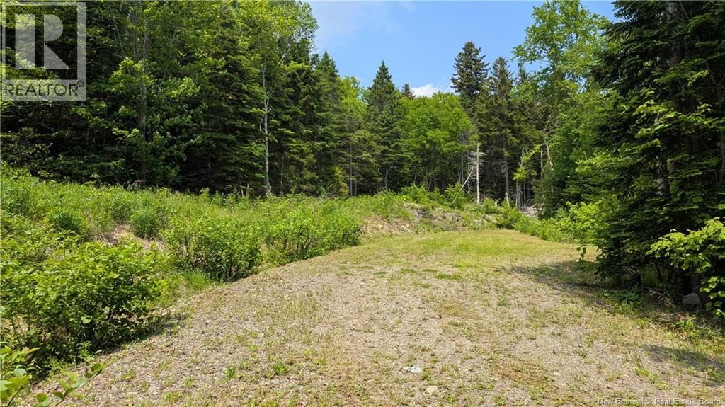 15 FOLEY LANE Image 1