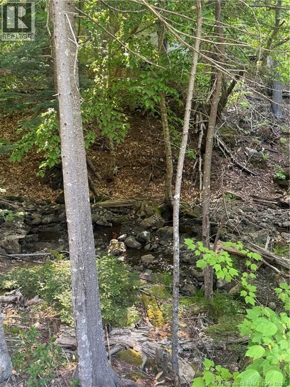 15 FOLEY LANE Image 11