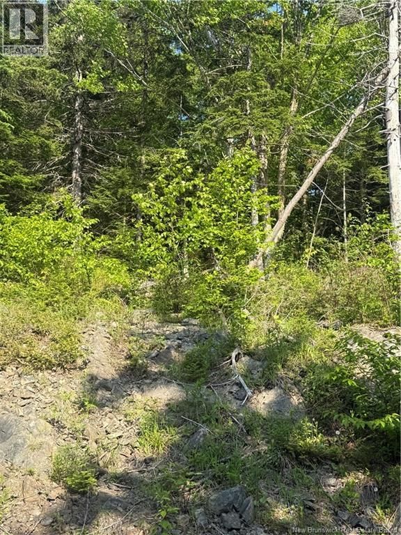 15 FOLEY LANE Image 14