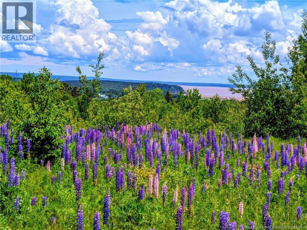 1266 Albert Mines Road, Lower Cape, New Brunswick E4H 1X1