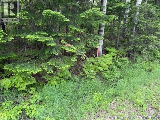 WAYERTON ROAD Image 1